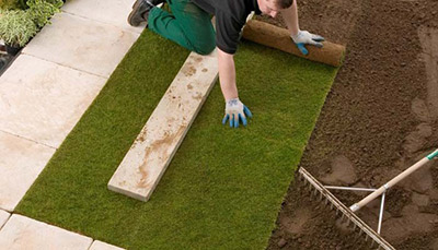 Jak pielęgnować trawnik rolowany?