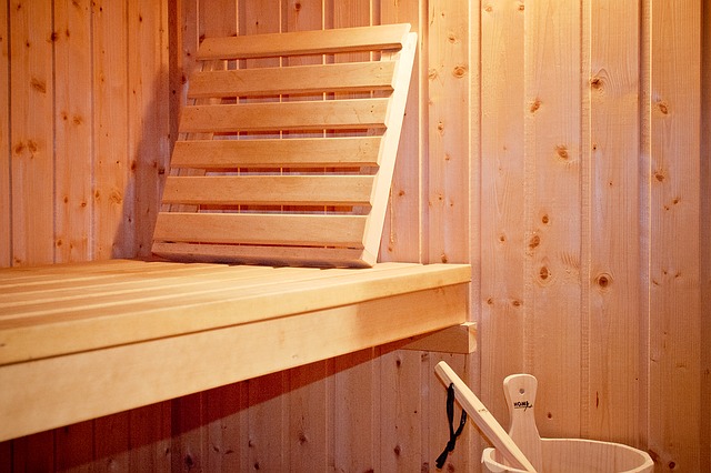 sauna fińska za domem